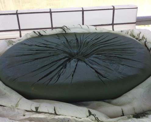 pâte spiruline pressée spirulib
